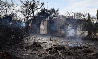 Ποια μέτρα στήριξης ανακοίνωσε ο ΕΦΚΑ για τους πληγέντες από τις πυρκαγιές