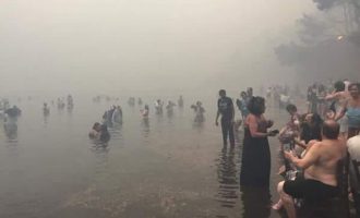 Το Λιμενικό Σώμα απεγκλώβισε 700 ανθρώπους από τις παραλίες της Ραφήνας