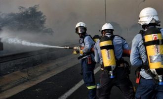 Πύρινος «πόλεμος»: Ξέσπασαν 47 πυρκαγιές μέσα σε μόλις ένα 24ωρο