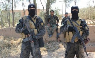Κούρδοι αντάρτες σκότωσαν πέντε μισθοφόρους της Τουρκίας στη Β/Δ Συρία