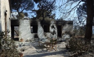 Έλληνας δασολόγος εξηγεί ένα προς ένα τους λόγους της μεγάλης καταστροφής