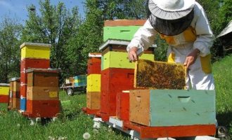 Το Ευρωπαϊκό Κοινοβούλιο προτείνει μέτρα στήριξης για τους μελισοκόμους