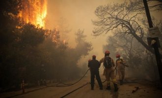 Yψηλός κίνδυνος πυρκαγιάς και το Σάββατο – Ποιες περιοχές είναι στο «κόκκινο»