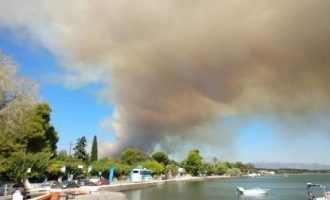 Μεγάλη φωτιά στην Εύβοια – Εκκενώθηκαν χωριά – Καίγεται πυκνό πευκοδάσος