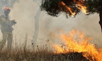 Χειροπέδες σε δύο Έλληνες για τις φωτιές στην Αμαλιάδα