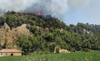 Μεγάλη πυρκαγιά στην Αμαλιάδα – Εκκενώνεται το χωριό Δαφνιώτισσα