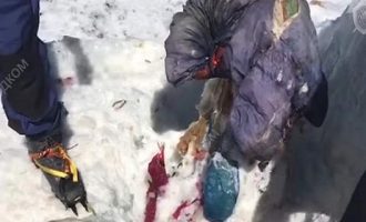 Βρέθηκε μετά από 31 χρόνια το σώμα ορειβάτισσας που είχε χαθεί στο ψηλότερο βουνό της Ευρώπης (βίντεο)