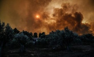 Μαίνεται η φωτιά στην Εύβοια – Σε δύο μέτωπα η μάχη με τις φλόγες