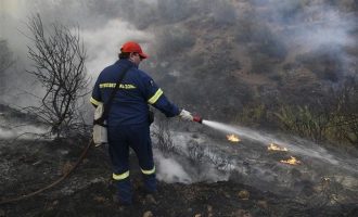 Ξεκίνησε ήδη η καταγραφή των ζημιών από την πυρκαγιά στην Εύβοια