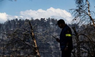 Αποστόλου: Αποζημιώσεις στους αγρότες που επλήγησαν από τις πυρκαγιές στην Εύβοια