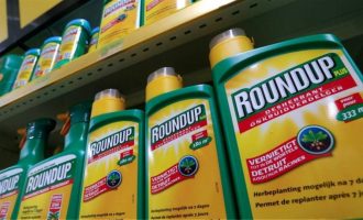 ΗΠΑ: Καταδίκη 290 εκατ. για τα προϊόντα της Monsanto για τα μεταλλαγμένα (φωτο)