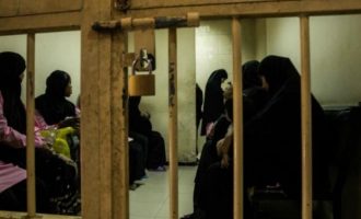 Τουρκάλα με γερμανική υπηκοότητα που κρατούνταν ως τζιχαντίστρια αθωώθηκε από ιρακινό δικαστήριο