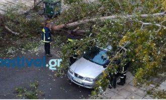 Ο «Ξενοφών» θεριεύει: Ξεριζώθηκαν δέντρα, καταπλακώθηκαν αυτοκίνητα στη Θεσσαλονίκη (φωτο)