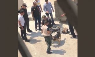 Δείτε τον βομβιστή αυτοκτονίας που ανατινάχτηκε έξω από την αμερικανική πρεσβεία στο Κάιρο (βίντεο)