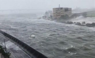 Τρομακτική καταστροφή στην Ιαπωνία από τον υπερτυφώνα Τζέμπι – Τουλάχιστον εννιά νεκροί (βίντεο)
