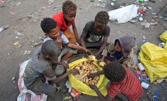 Σοκάρει έκθεση του ΟΗΕ: Ο πλανήτης «γεμίζει» παχύσαρκους την ώρα που η πείνα σαρώνει!