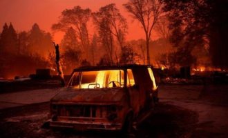 Ράιαν Ζίνκε: Για τις φωτιές στην Καλιφόρνια ευθύνονται και οι περιβαλλοντολόγοι