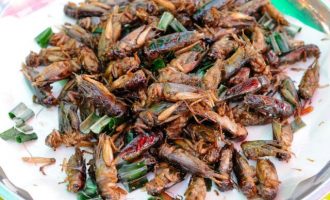 Ο ΟΗΕ συνιστά στους Ευρωπαίους να τρώνε έντομα – Γρύλους για σνακ στα σούπερ μάρκετ στη Βρετανία