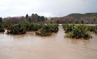 Πλημμύρισε ο Αλφειός ποταμός από την κακοκαιρία (βίντεο)