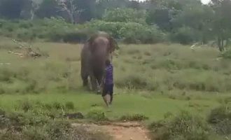 Τραγικός θάνατος στη Σρι Λάνκα – Τον ποδοπάτησε ελέφαντας (βίντεο)