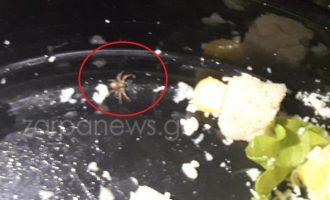 Βρέθηκε αράχνη μέσα σε σαλάτα σε σουβλατζίδικο στην Κρήτη