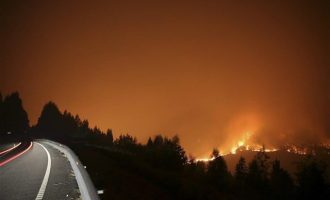 Μάχη με τις φλόγες σε 50 πύρινα μέτωπα που «κυκλώνουν» τη βόρεια Ισπανία