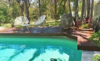 Κοάλα πνίγηκε σε πισίνα για να σωθεί από τον καύσωνα στην Αυστραλία (φωτο)