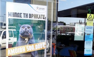 Κυνήγι σε όλη την Ελλάδα για μία γάτα με αμοιβή 500.000 ευρώ
