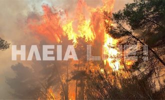 Μαίνεται ανεξέλεγκτη η μεγάλη φωτιά στο δάσος της Στροφυλιάς στην Ηλεία