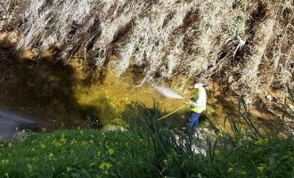 Σε πλήρη εξέλιξη το πρόγραμμα καταπολέμησης κουνουπιών στη Νότια Αθήνα
