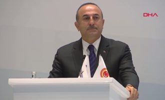 Ο Τσαβούσογλου τσακώθηκε με Γαλλίδα βουλευτή για τη Γενοκτονία των Αρμενίων (βίντεο)