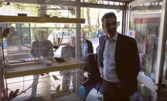 Ο Μητσοτάκης μίλησε σε παπαγάλο: Αν του πω ψήφισε Κυριάκο, θα το πει; (βίντεο)