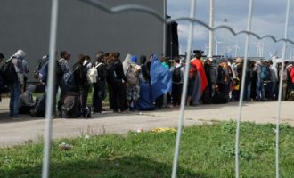 ΟΗΕ: Η Αυστρία παραβιάζει τα ανθρώπινα δικαιώματα για το άσυλο