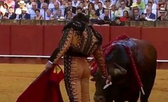 Ταυρομάχος σκουπίζει τα ματωμένα δάκρυα του ταύρου πριν τον σκοτώσει (βίντεο)