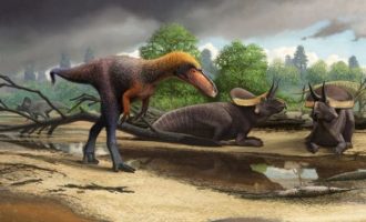 Παλαιοντολόγοι ανακάλυψαν ένα άγνωστο έως τώρα είδος τυραννόσαυρου