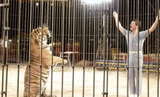 Τίγρεις σε τσίρκο κατασπάραξαν τον θηριοδαμαστή τους