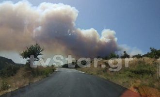Μεγάλη φωτιά στην Εύβοια: Εκκενώθηκε χωριό – Επί ποδός η Πυροσβεστική