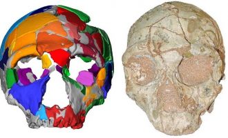 Το αρχαιότερο δείγμα Homo Sapiens είναι ένα κρανίο που βρέθηκε στην Ελλάδα