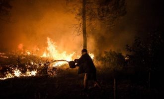 Μεγάλες φωτιές στην Πορτογαλία – Συνελήφθη ύποπτος εμπρηστής