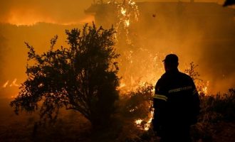 Σε εμπρησμό οφείλεται η καταστροφική πυρκαγιά στην Εύβοια