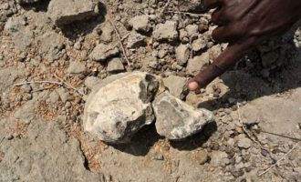 Εκπληκτικό εύρημα: Ανακαλύφθηκε κρανίο 3,8 εκατ. χρόνων στην Αιθιοπία