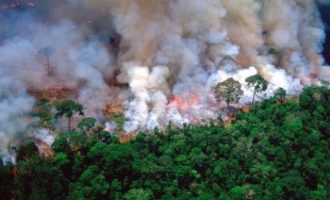 Η Βραζιλία αρνήθηκε τη βοήθεια των G7 για τη φωτιά στον Αμαζόνιο και χλεύασε τον Μακρόν