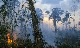 Ο Αμαζόνιος γίνεται κάρβουνο και ο Μπολσονάρου δηλώνει: «Δεν έχουμε λεφτά να σβήσουμε τη φωτιά»