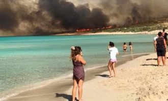 Ελαφόνησος: Κάηκε το 25% του νησιού – Χάθηκε ο τουρισμός