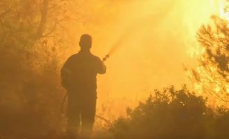 Τεράστια οικολογική καταστροφή στην Εύβοια – Αγώνας να περιοριστεί η φωτιά