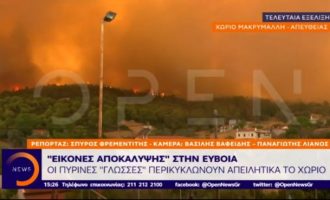 Καίγονται σπίτια στο χωριό Μακρυμάλλη στην Εύβοια (βίντεο)
