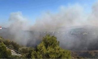 Μεγάλη φωτιά δίπλα σε σπίτια στην Πεντέλη – Πυρκαγιές σε Τανάγρα και Αρτέμιδα