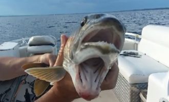 Ψάρι με δύο στόματα έπιασε μια γυναίκα σε λίμνη στις ΗΠΑ (βίντεο)