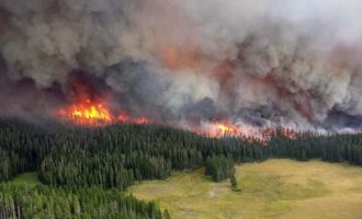 Τεράστια οικολογική καταστροφή στη Σιβηρία – Κάηκαν 28.000.000 στρέμματα