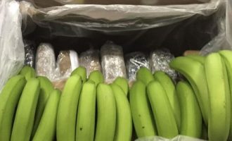 Πειραιάς: Σε κοντέινερς με μπανάνες βρέθηκαν μεγάλες ποσότητες κοκαΐνης